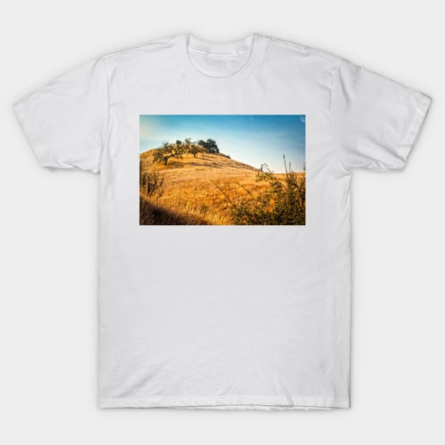 Savanna Oaks, California T-Shirt by Robert Alsop